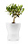 Горшок цветочный, 13см. Flowerpot белый EVA SOLO 568251