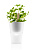 Горшок цветочный, 11см белый EVA SOLO Herb pot 568115